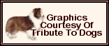 tributegraphicsbtn.gif